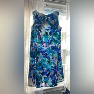 darby 18w dress barn dress